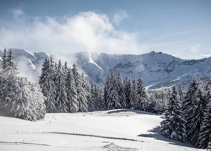 3 Ch. A Proche Centre - Fr-1-569-125 Apartamento Megève