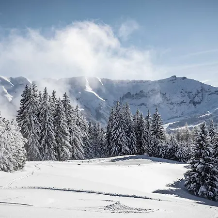 3 Ch. A Proche Centre - Fr-1-569-125 Lejlighed Megève